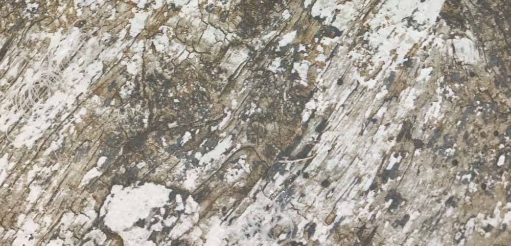 Veneto Tahta Titanium Matt Porcelain 250x1000mm Wall and Floor Tile