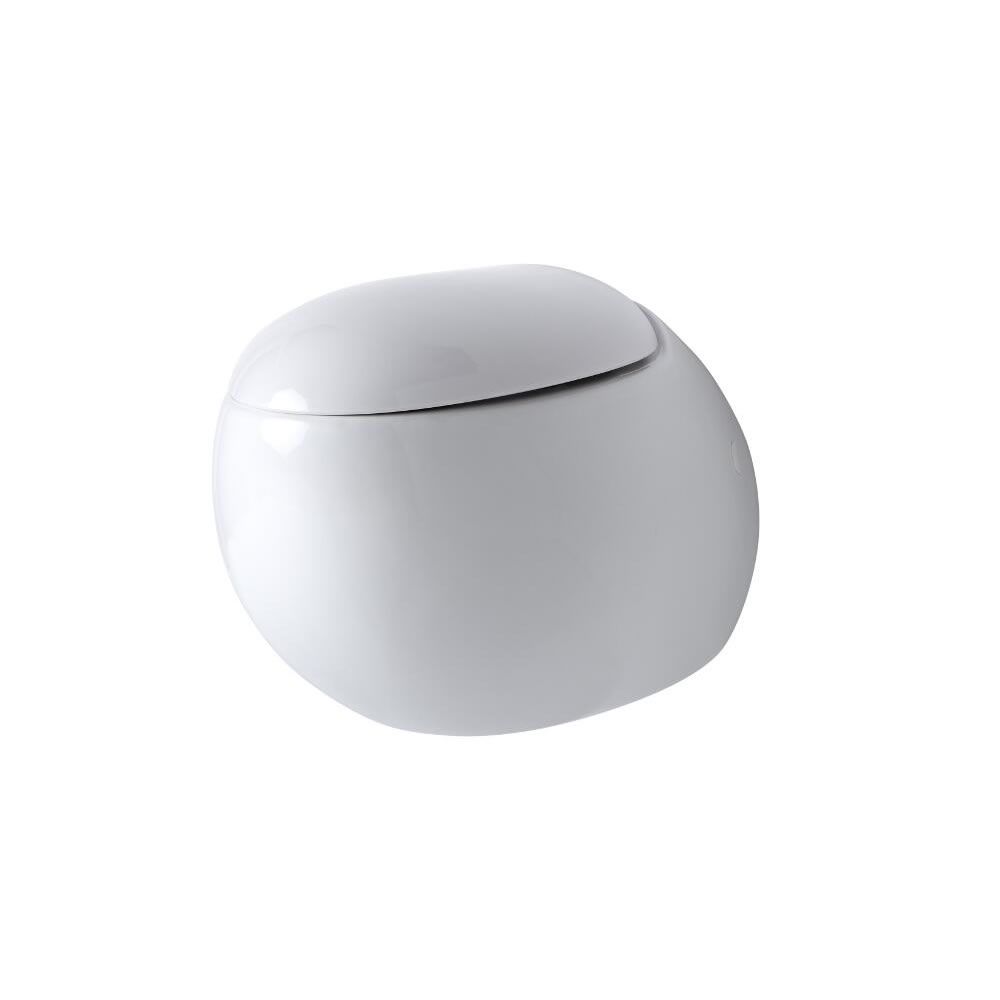 CELIO White Modern Round Wall Hung Toilet with Soft Close Seat