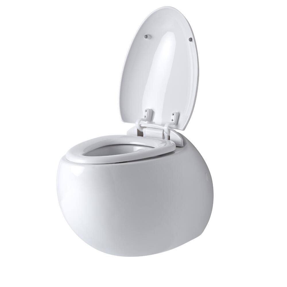 CELIO White Modern Round Wall Hung Toilet with Soft Close Seat