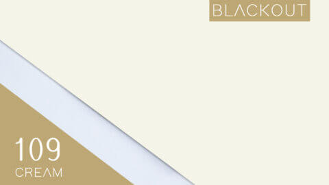 Decor Blinds Roller Blind 109 White