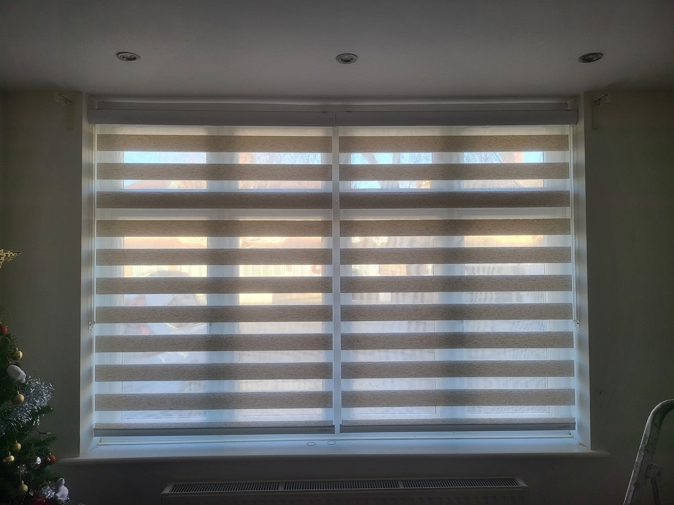 Decor Blinds Privacy 315 Beige