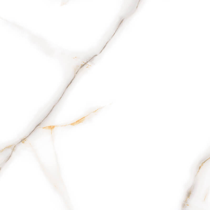 New Rome Rectified Polished Porcelain 600x600mm Wall and Floor Tiles