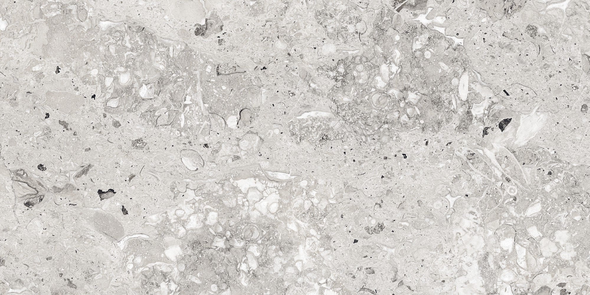 Splashback Rectified Large Format Stone Effect Porcelain 800x1600mm Ti ...