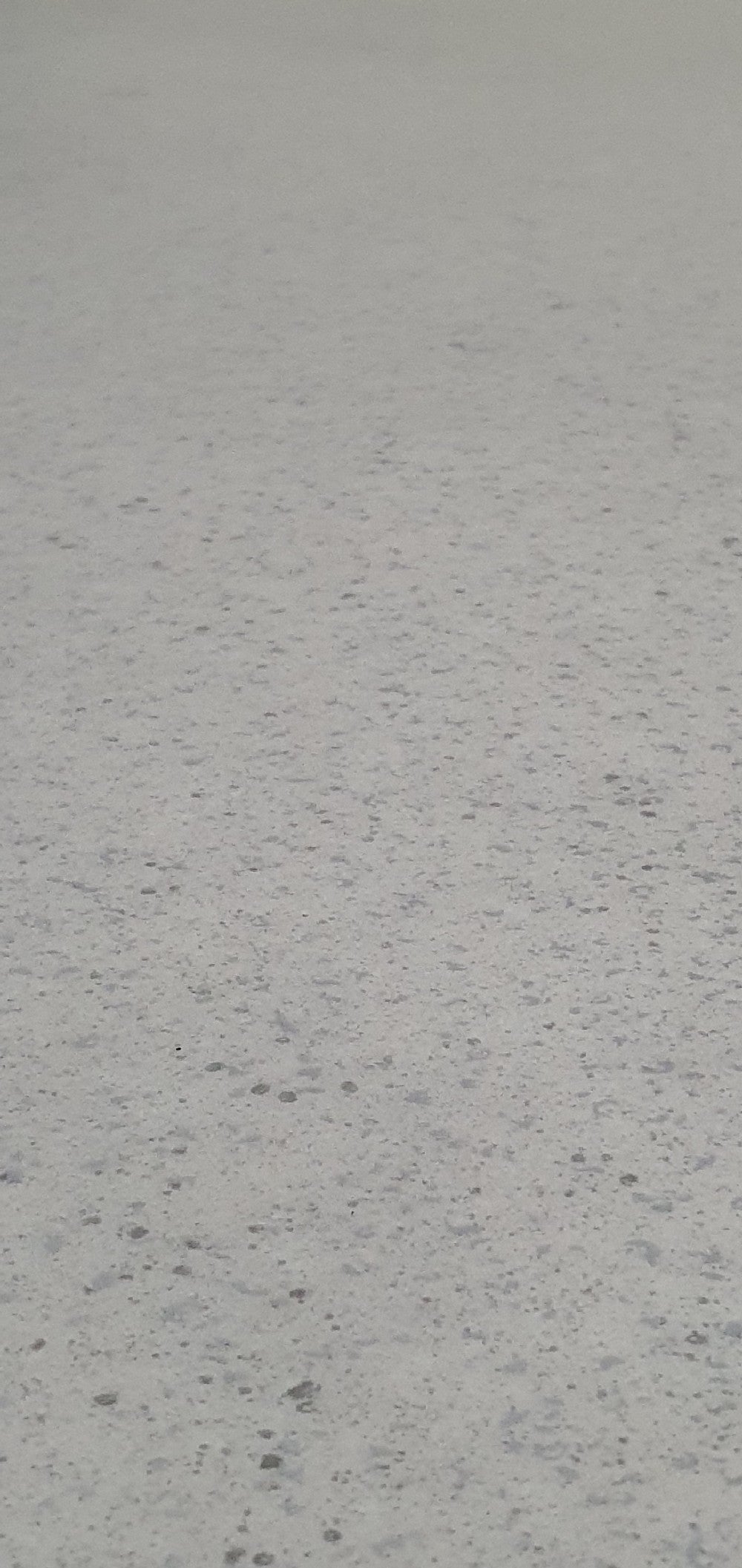 Sedna T06 Commercial Vinyl Lino Flooring 4m Width